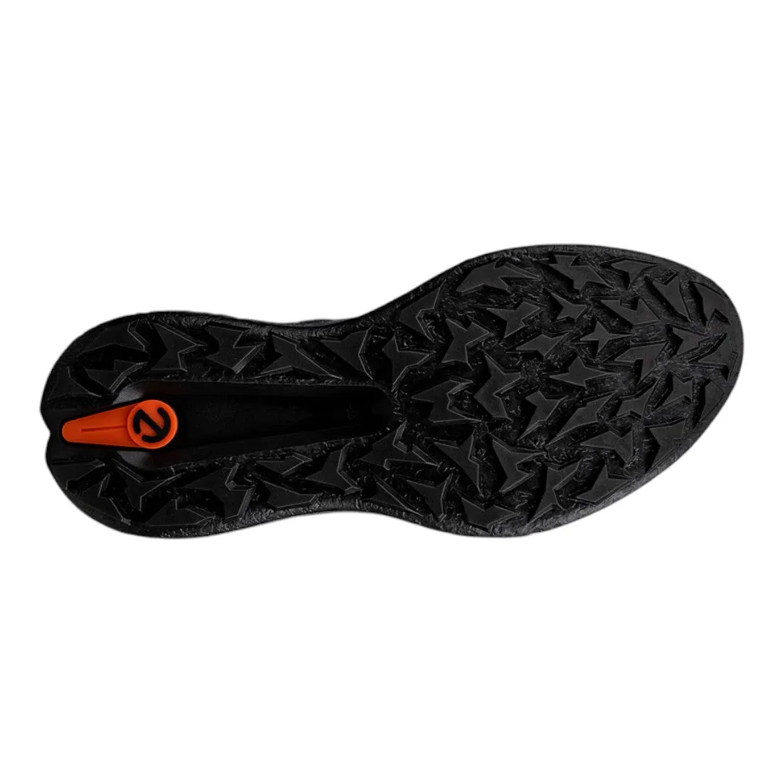 Ecco Biom H5 Golfschuhe 138014