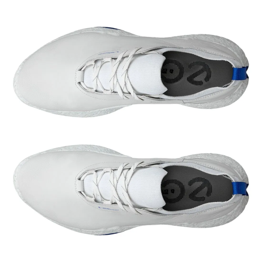 Ecco Golf Biom H5 Golfschuhe 138014