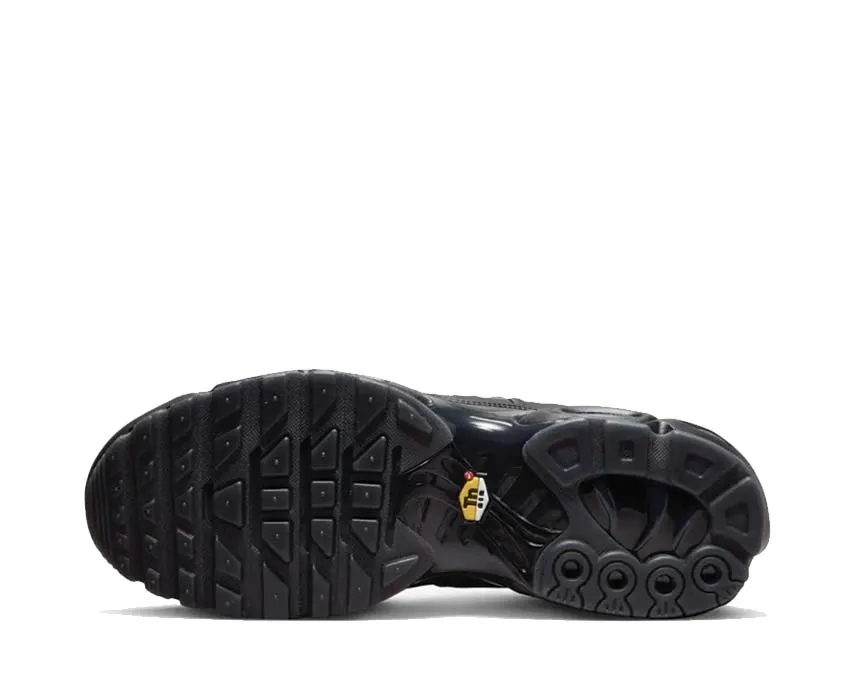 Nike Schuhe Nike Air Max Plus A Cold Wall