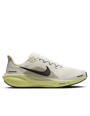Pegasus 41 - Herren