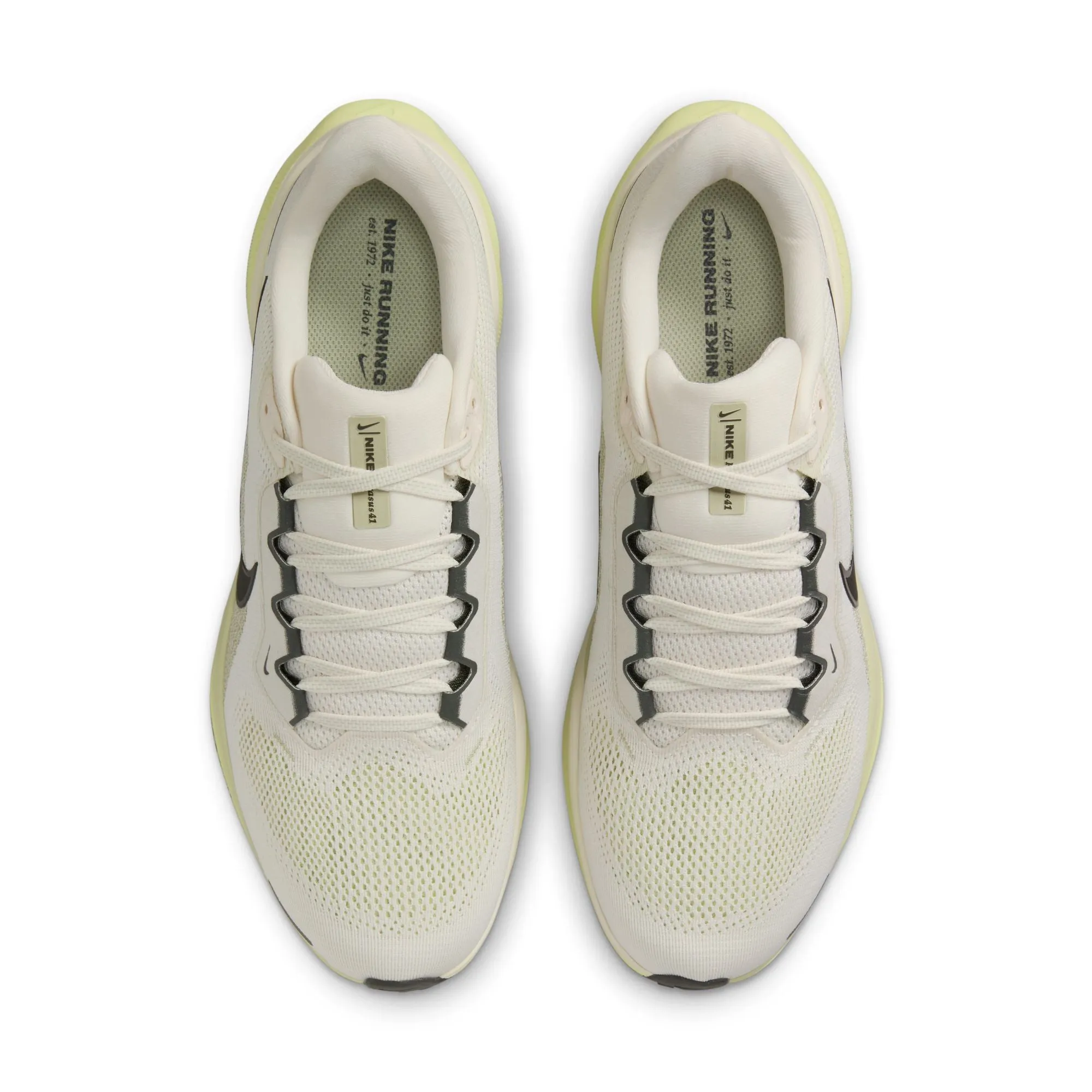 Pegasus 41 - Herren